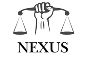 Nexus Procurement Advisory logo