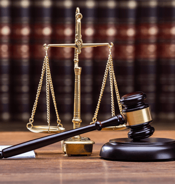 Public bodies and state entities
